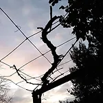 Δωμάτια σε οικογενειακή κατοικία A Casa Da Parrula Σαντιάγο ντε Κομποστέλα