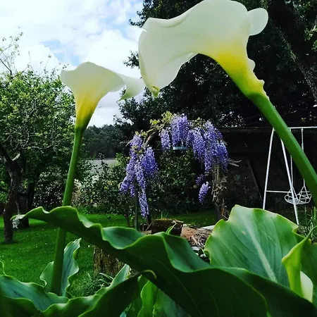 Homestay A Casa Da Parrula Santiago de Compostela