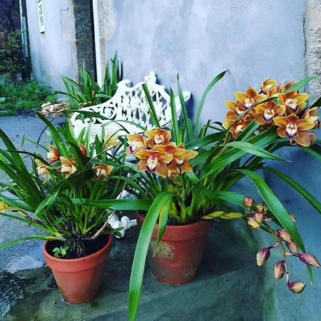 A Casa Da Parrula Alloggio in famiglia