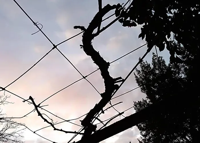 Проживание в семье A Casa Da Parrula Сантьяго-де-Компостела