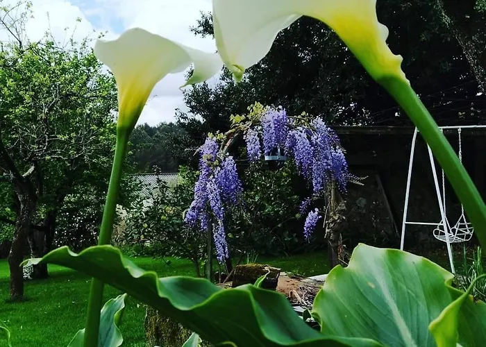 Ubytování v soukromí A Casa Da Parrula Santiago de Compostela