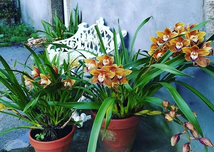 A Casa Da Parrula Проживание в семье