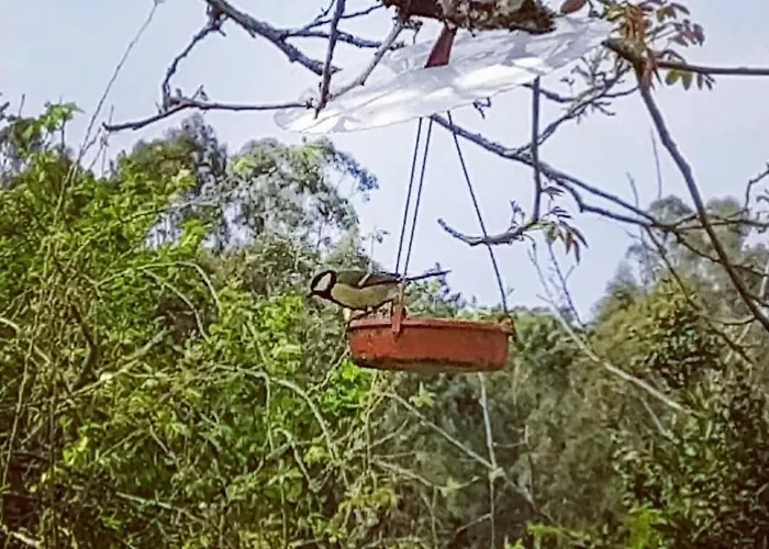 Ubytování v soukromí A Casa Da Parrula Santiago de Compostela